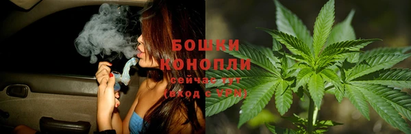 PSILOCYBIN Михайлов