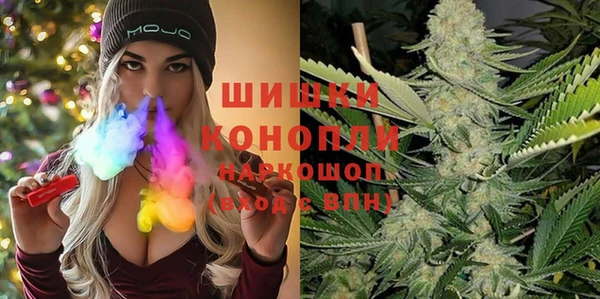 PSILOCYBIN Михайлов