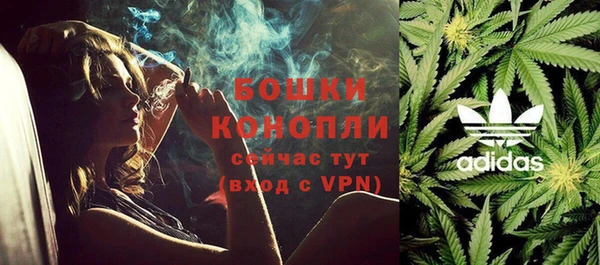 PSILOCYBIN Михайлов