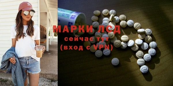 PSILOCYBIN Михайлов